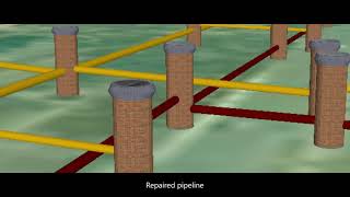 Easy Sight Produkte in führung